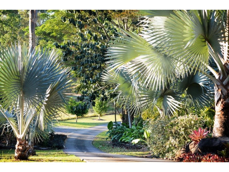 12 Orchid Road, Cannonvale QLD 4802