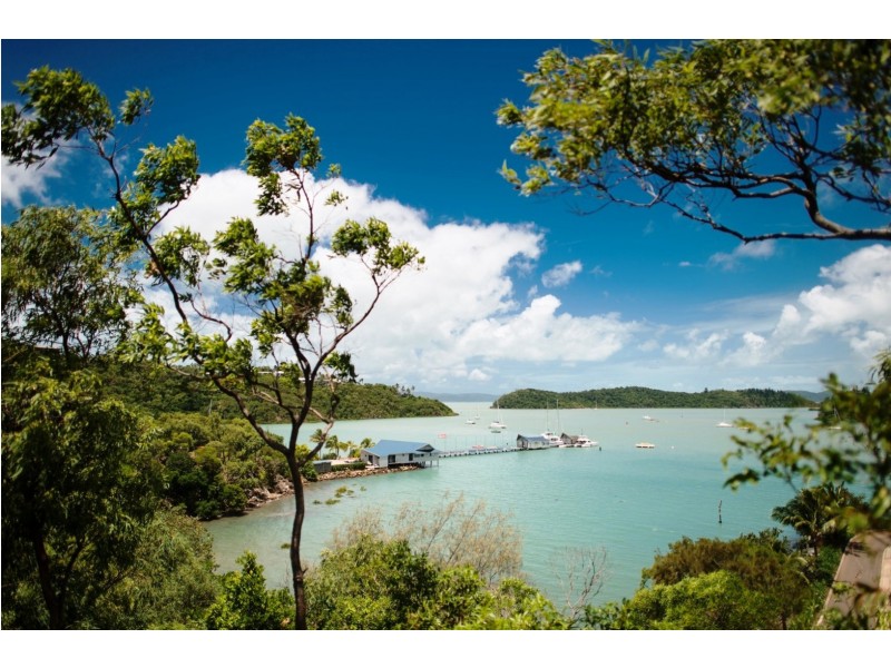 19 Passage Avenue, Shute Harbour QLD 4802