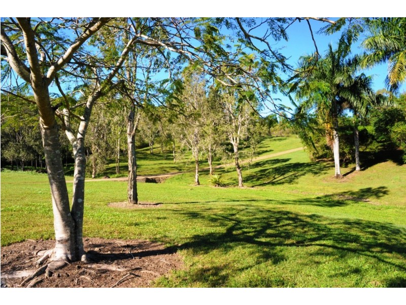 79 Moodys Road, Strathdickie QLD 4800