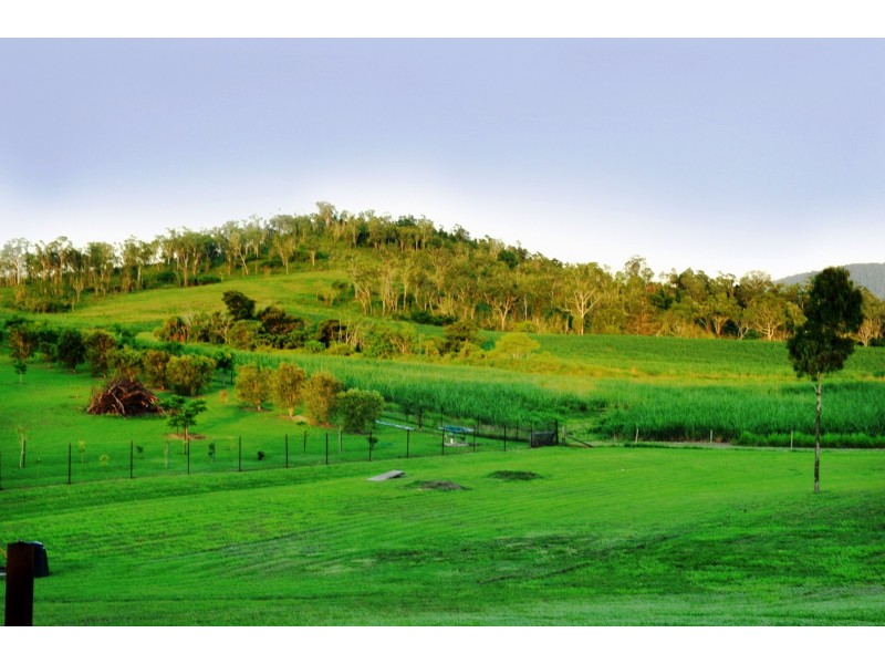38 Tucker Road, Riordanvale QLD 4800