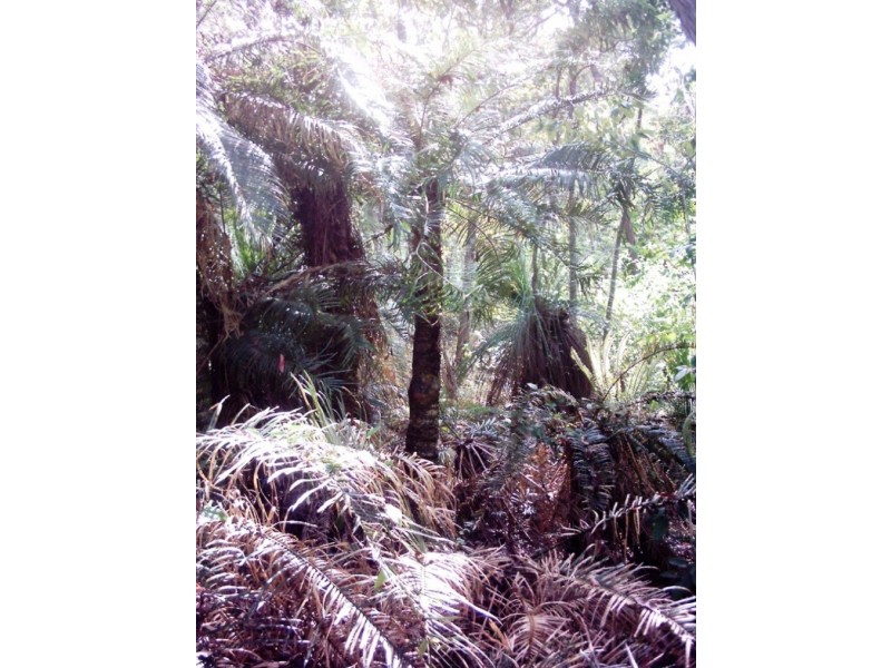 776 Conway Road, Preston QLD 4800