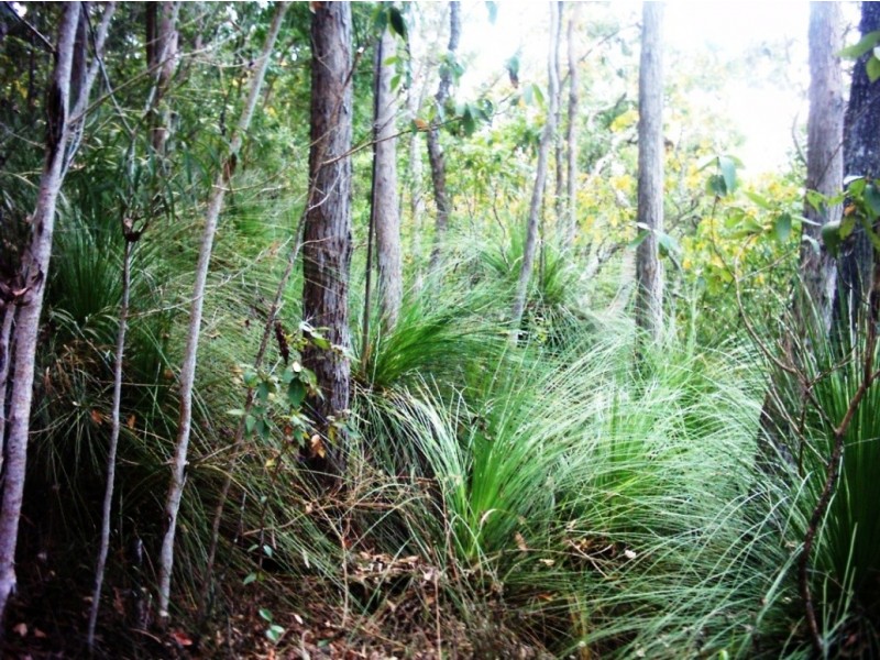 776 Conway Road, Preston QLD 4800