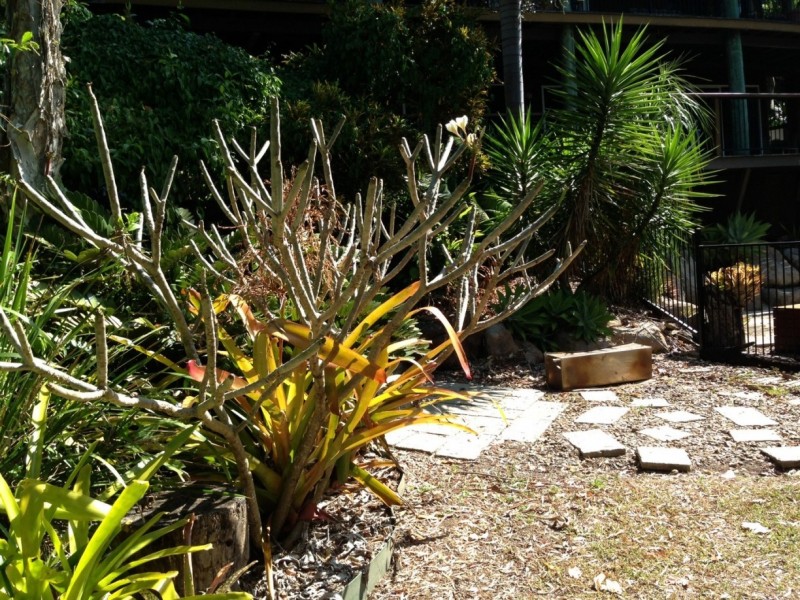 11 Barnes Pl, Cannonvale QLD 4802