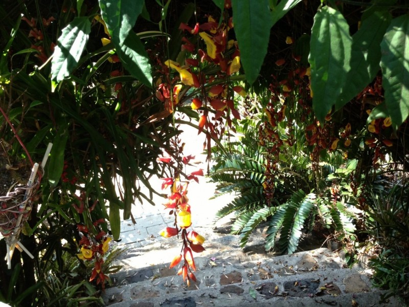 11 Barnes Pl, Cannonvale QLD 4802