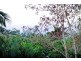 4 Balaka St, Cannonvale QLD 4802