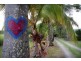 1050 Conway Road, Conway QLD 4800