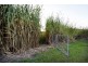 1050 Conway Road, Conway QLD 4800
