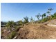 28 Wills Court, Cannonvale QLD 4802