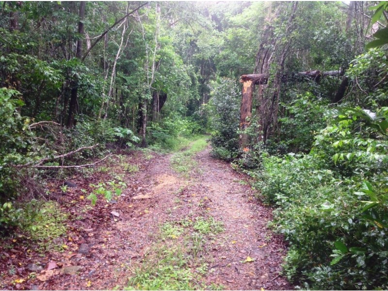 56 Timberland Road, Jubilee Pocket QLD 4802