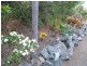 1135 Midge Point Road, Midge Point QLD 4799