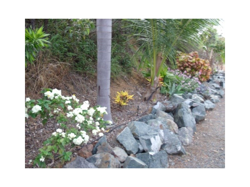 1135 Midge Point Road, Midge Point QLD 4799