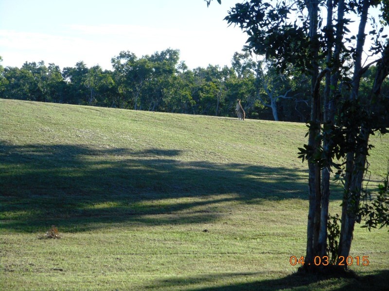 1452 Kunapipi Road, Laguna Quays QLD 4800