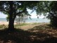 76 Gloucester Ave, Hideaway Bay QLD 4800