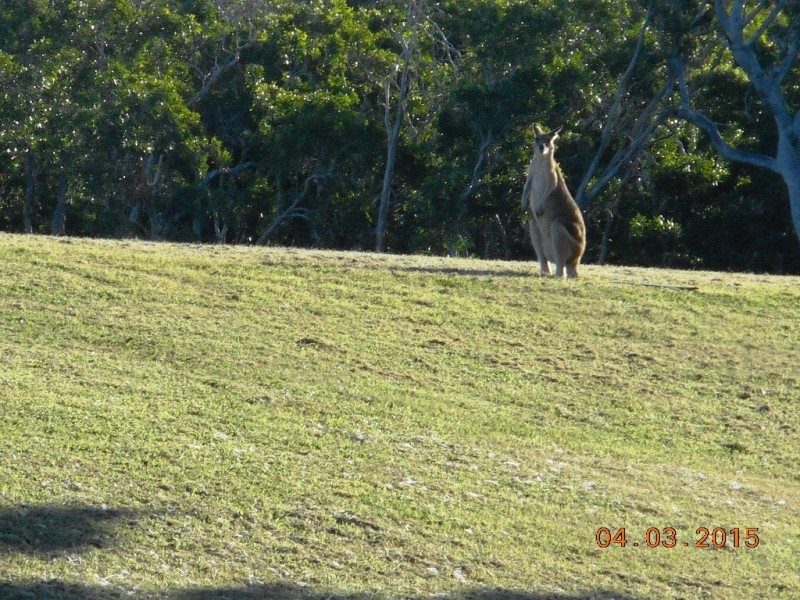 1301 Kunapipi Road, Laguna Quays QLD 4800