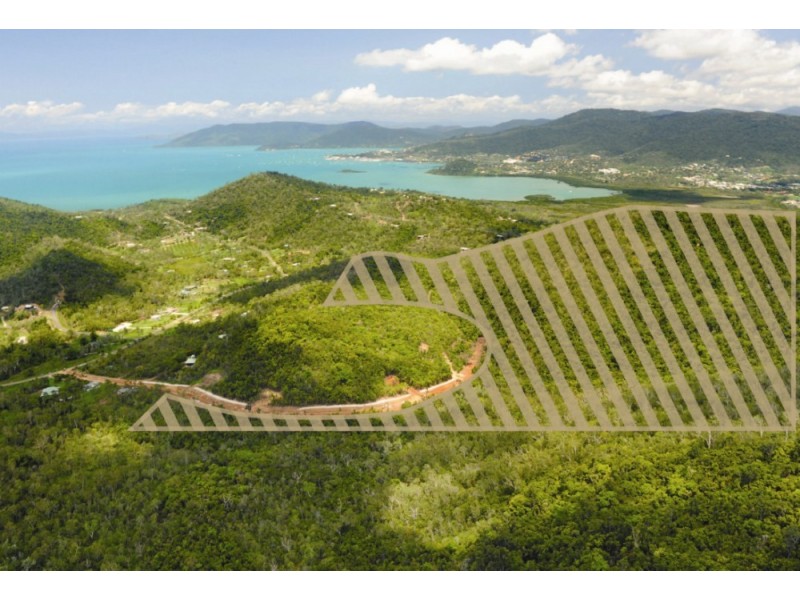 Lot 100 Paluma Road, Woodwark QLD 4802