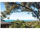 2/15 Woomerah Avenue, Cannonvale QLD 4802