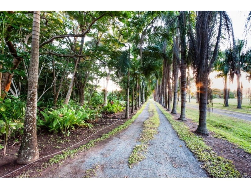 Lot 2 1059 Conway Road, Conway QLD 4800