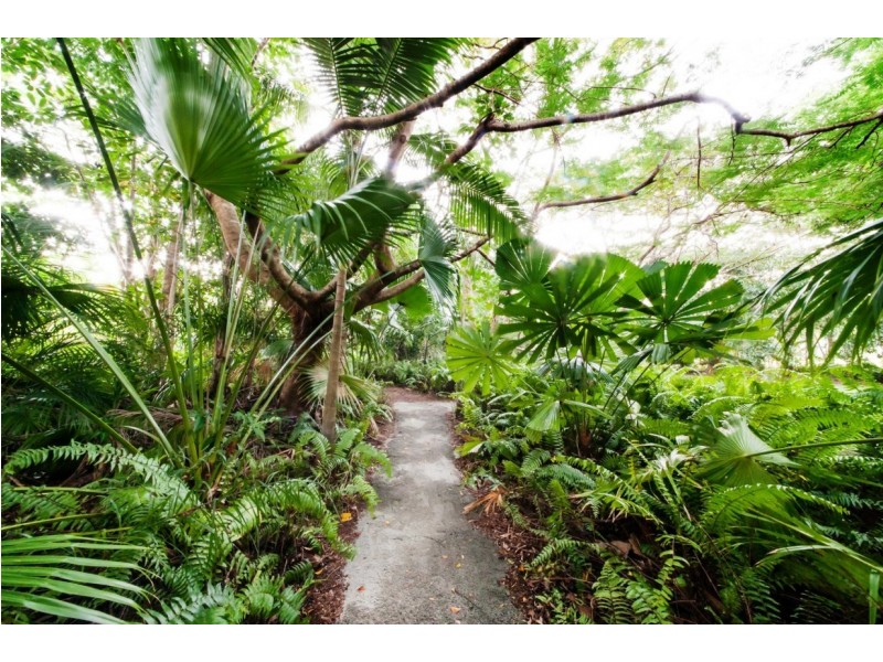 Lot 2 1059 Conway Road, Conway QLD 4800