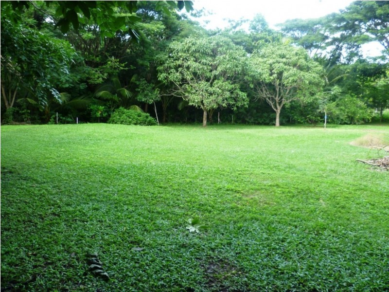Lot 1 1059 Conway Road, Conway QLD 4800