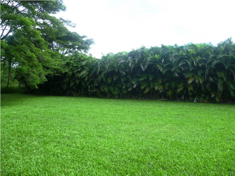 Lot 1 1059 Conway Road, Conway QLD 4800