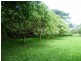 Lot 1 1059 Conway Road, Conway QLD 4800