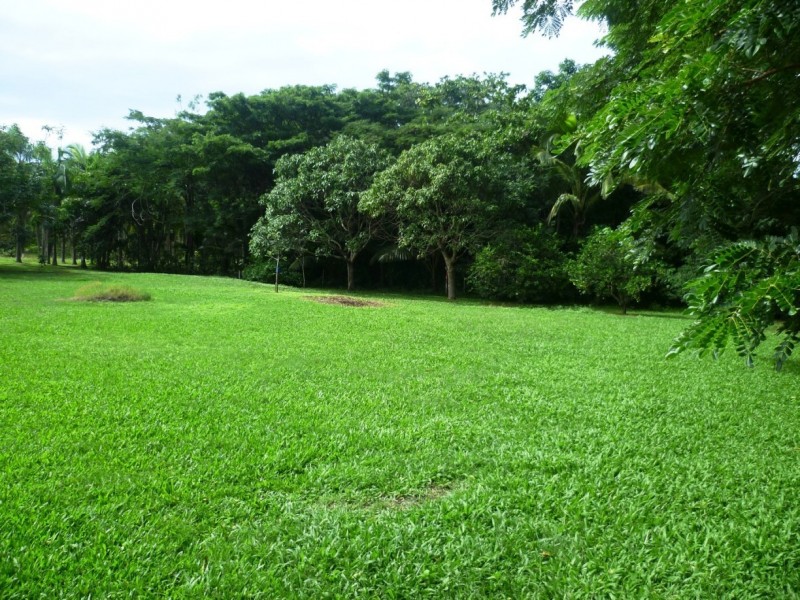 Lot 1 1059 Conway Road, Conway QLD 4800