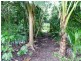 Lot 1 1059 Conway Road, Conway QLD 4800