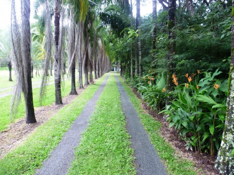 Lot 1 1059 Conway Road, Conway QLD 4800