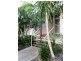 83/65 Manooka Drive, Cannonvale QLD 4802
