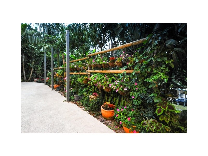 4 Totem Trail, Jubilee Pocket QLD 4802