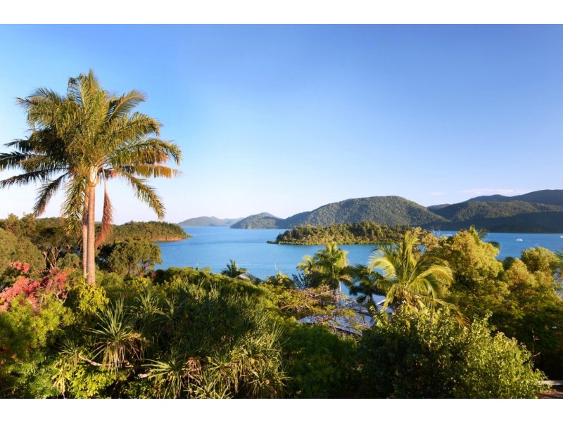 6 Shutehaven Close, Shute Harbour QLD 4802