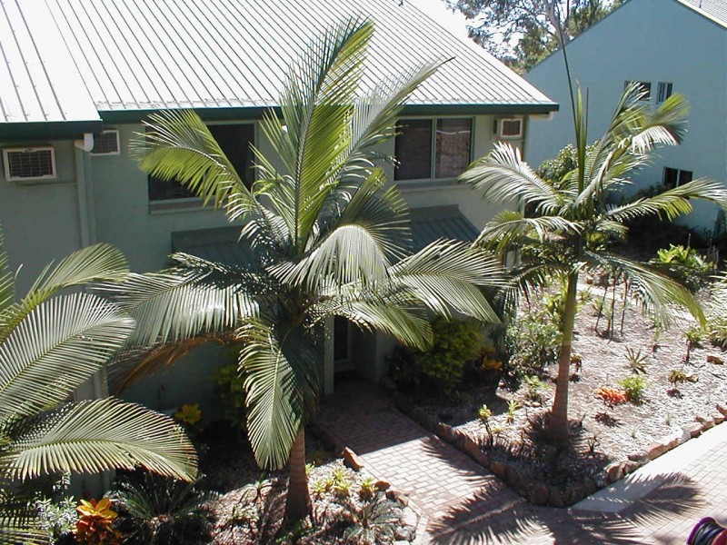 4/3 Banksia Court, Hamilton Island QLD 4803