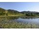 46 Abell Road, Cannonvale QLD 4802