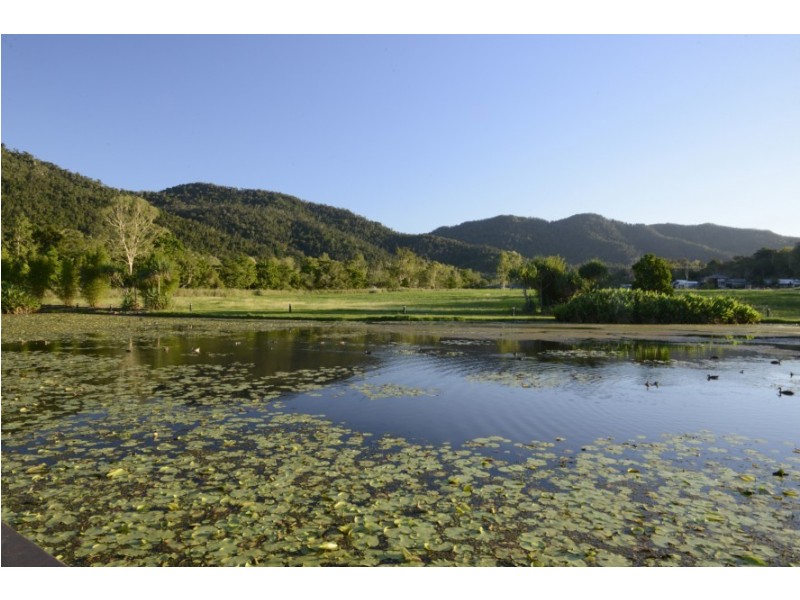 46 Abell Road, Cannonvale QLD 4802