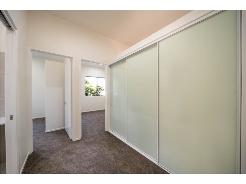 8 Raddle Court, Cannonvale QLD 4802