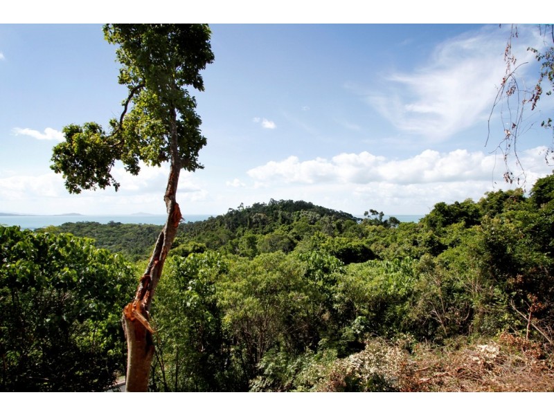 Lot 17 Mandalay Road, Mandalay QLD 4802