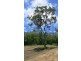 Lot 16 Remmington Close, Mount Marlow QLD 4800