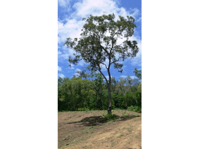 Lot 16 Remmington Close, Mount Marlow QLD 4800