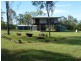 391 Midge Point Road, Bloomsbury QLD 4799