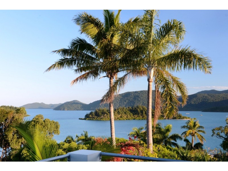 6 Shutehaven Close, Shute Harbour QLD 4802