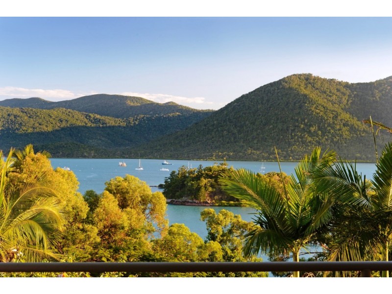 6 Shutehaven Close, Shute Harbour QLD 4802