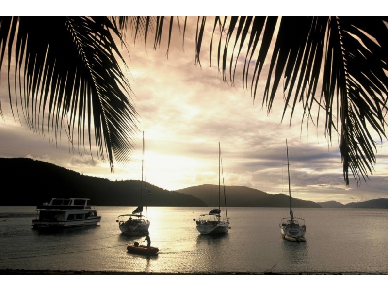 Lot D Palm Bay, Long Island QLD 4741