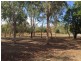 411 Mangrove Road, Woodwark QLD 4802