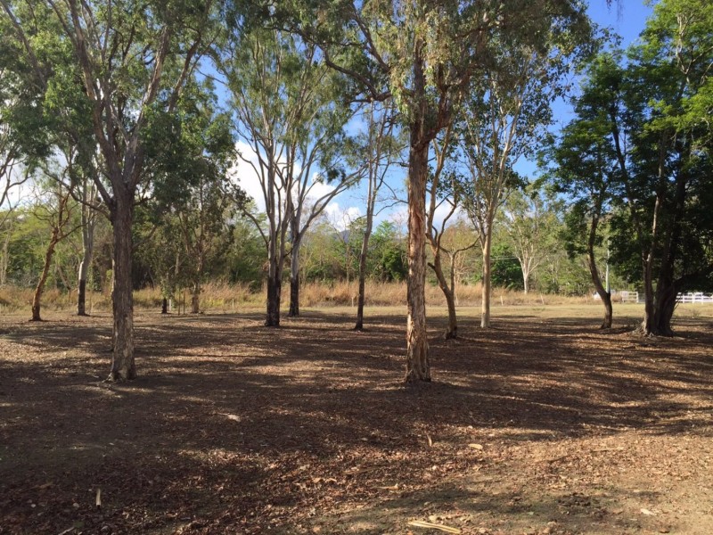 411 Mangrove Road, Woodwark QLD 4802