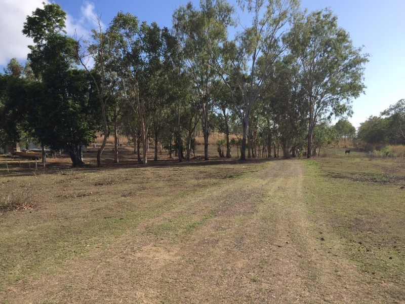 411 Mangrove Road, Woodwark QLD 4802