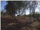 411 Mangrove Road, Woodwark QLD 4802