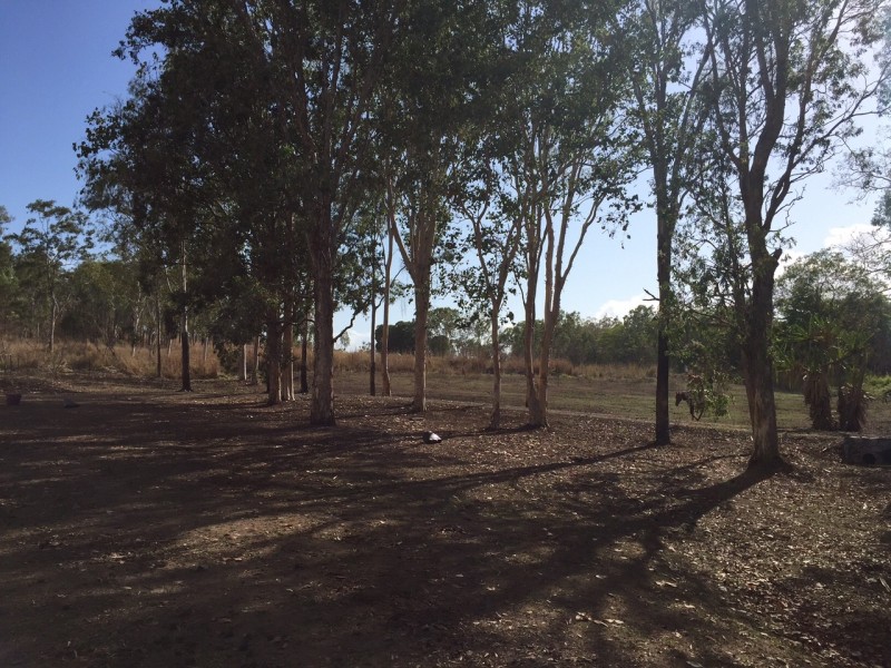411 Mangrove Road, Woodwark QLD 4802