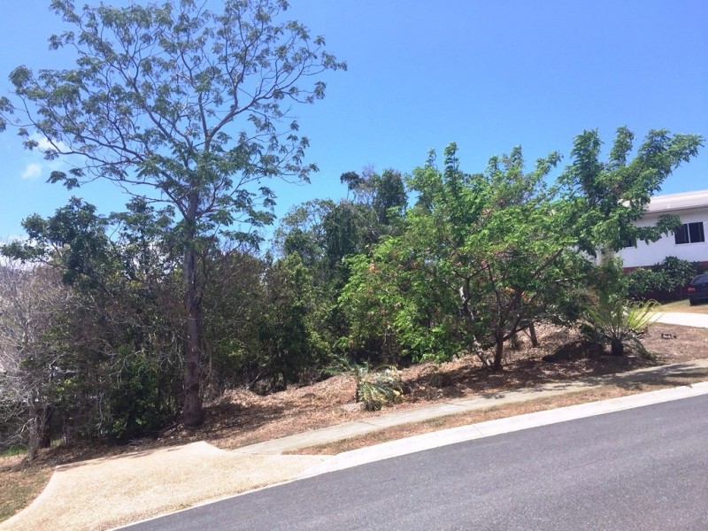 1 Curlew Court, Jubilee Pocket QLD 4802