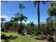306 Mandalay Road, Mandalay QLD 4802