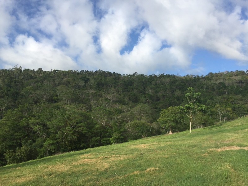 Lot 7 Gillies Road, Strathdickie QLD 4800